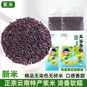 墨江紫米新米5斤云南特产紫糯米杂粮紫米饭团专用粽子紫米露面包