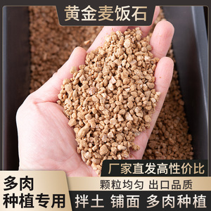 黄金麦饭石颗粒多肉铺面石多肉植料拌土无土栽培基质透气改善土壤