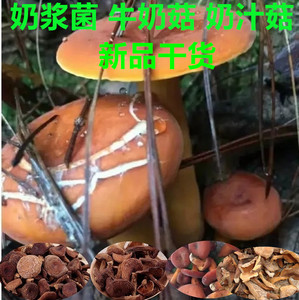 野生红奶浆菌干货土特产奶汁蘑菇牛奶菌菇松乳菇煲汤食用菌包邮