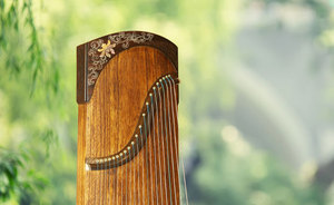 【弘扬古筝】蓝莲花专业二级扬州乐器考级比赛成人儿童专业演奏