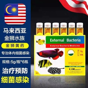 马来西亚进口金狮黄药观赏鱼龙鱼罗汉发财鱼金鱼锦鲤黄粉日本黄粉