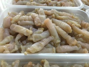 菜菜海鲜  冷冻沙虫 已去内脏爆炒白灼都好吃 250克