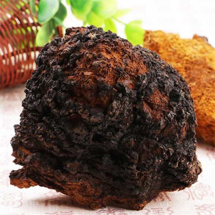 长白山华树茸茶进口白桦茸特级克泪茸桦褐孔菌桦树野生特产蓉正品