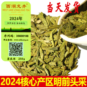 2024年杭州本地西湖龙井新茶叶 正宗头采明前特级绿茶 浓香型250g