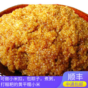 贵州黄平特产 1斤装农家高山糯小米 黏黄米新米一级粗粮 2023新米