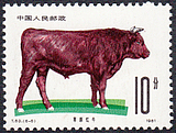 T63 畜牧业 秦川牛 邮票 6-5 邮票 单枚散票