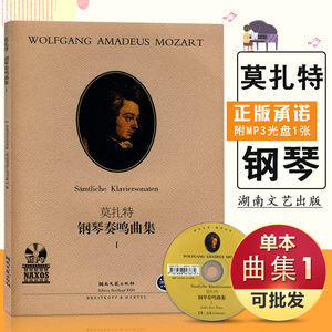 【满2件减2元】正版莫扎特钢琴奏鸣曲集1名家伴奏即兴表演新手初级自学起步经典实用流行教材程练习曲湖南文艺出版社图书