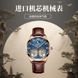 艾浪进口机芯官方正品新款双飞轮自动机械韩版轻奢爆款男士手表