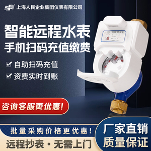 上海人民无线NB远程LORA智能预付费物联网扫码自来水远传水表厂家