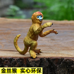 猴子金丝猴动物玩具实心仿真动物模型野生动物塑料玩偶儿童玩具
