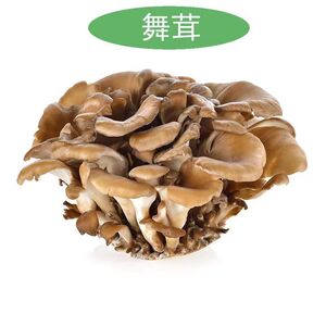 【现货】新鲜舞茸菌750g 云南当季灰树菇栗蘑灰树花蘑菇顺丰包邮