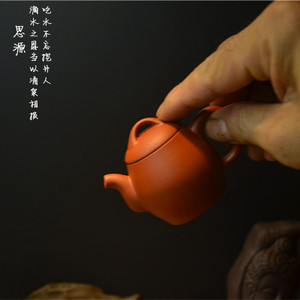 珍木坊宜兴紫砂壶朱泥小容量袖珍壶迷你工夫小茶壶创意泡茶壶单壶