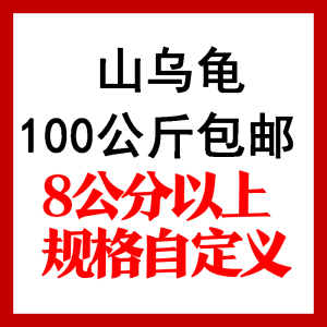 多肉植物基地直发 多肉植物基地直发品牌 价格 阿里巴巴 多肉植物基地直发 多肉植物基地直发品牌 价格 阿里巴巴