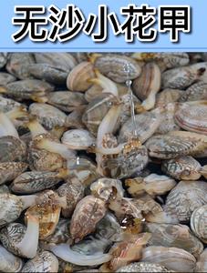 10斤装连云港海鲜新鲜无沙花甲鲜活花蛤蜊花蚬子杂色蛤蜊野生贝类