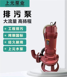 上海上元纯铜国标排污泵3kw3寸