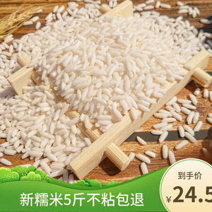 长糯米 5斤 散装糯米 包粽子的糯米 做甜酒酿饭团米 新江米白粘米