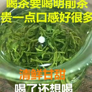 2024江西茶井冈山特产明前狗牯脑新茶云雾绿茶遂川茶叶250克送罐