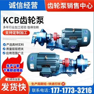 KCB齿轮泵大流量泵齿轮油泵单三相高粘度齿轮泵不锈钢耐腐蚀油泵
