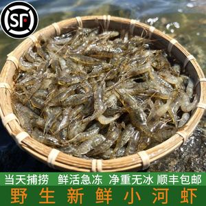 桓龙湖水库新鲜小河虾450g鲜活急冻无冰淡水虾小江虾 拍2份起包邮