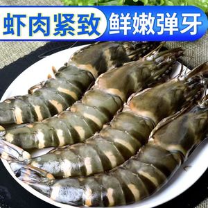 【大本推荐】特大号野生黑虎虾21-25规格高品质海虾高档海鲜