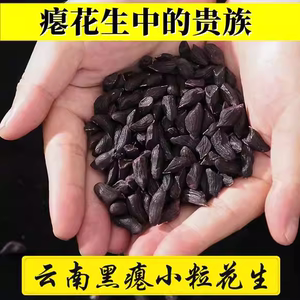 云南富硒黑花生米干瘪粒黑花生去壳黑皮瘪花生原味生养胃零食特产