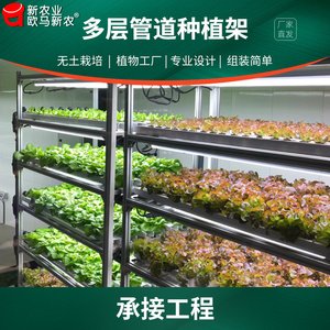 无土栽培设备植物工厂展示楼顶水培管道种叶菜瓜果草莓多层种植架