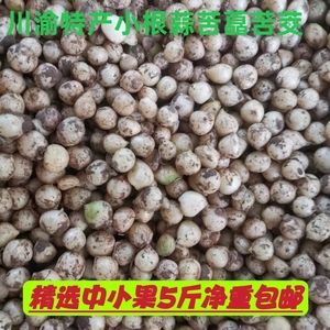 四川新鲜苦藠团葱小根葱苦葱头苦茭苦藠头薤白产地直发（中小果）