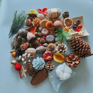 圣诞松果装饰干花叶子果壳多种混合客厅手工DIY森系 材料 干花包