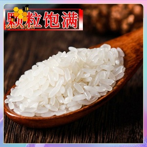 正宗五常稻花香米10斤东北大米20斤装五常大米长粒香新米