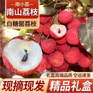深圳南山荔枝糯米糍新鲜水果香甜老树空运礼盒广东糯米糍