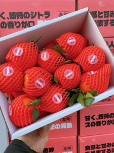 北京闪送 1箱9斤 红美人橙子 鲜甜可口 水分足