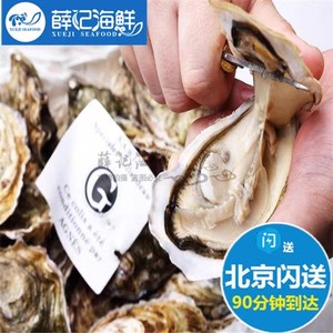 北京闪送 单只 N2 N1 N0法国进口吉娜朵生蚝鲜活牡蛎刺身非吉拉多