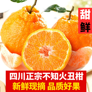 四川不知火丑橘特级大果8斤丑桔当季新鲜水果丑八怪橘子丑柑桔子