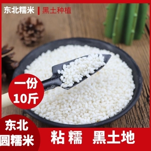 东北新圆白糯米江米包粽子珍珠黏雪糯米饭团包粽子酿酒专用10斤