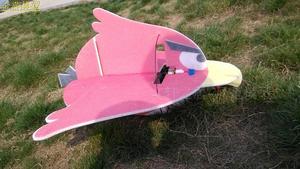 航模 固定翼 电动遥控飞机 腰推 空机 愤怒的小鸟 9mm EPP 练习机