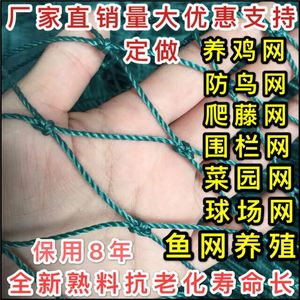 户外养鸡网家禽养殖网菜园围栏瓜果爬藤网果园防鸟网球场网护栏网