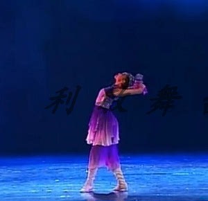 桃李杯成人舞蹈《马兰花》演出服 独舞 民族舞 现代舞蹈服装
