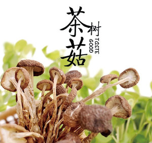 茶树菇干货不剪脚150g装江西广昌特产菌类不开伞新鲜茶树菇鲜嫩