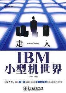 【正版书】 走入IBM小型机世界 刘浩林　编著 电子工业出版社
