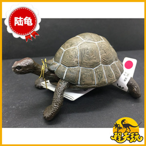 正版PAPO陆龟50013加拉帕戈斯象龟野生动物手办PVC模型玩具小乌龟