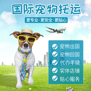 宠物托运服务国际空运猫狗代办手续香港回国清关血清检测迪拜欧盟