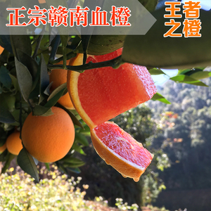 正宗赣南血橙10斤大果江西赣州红肉橙新鲜水果农家红心甜橙子产地