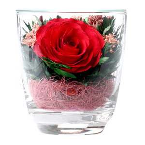 泰国进口 永生花 红玫瑰花送女友鲜花杯情人节礼物真空保鲜花