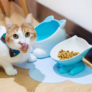美国Vivipet小Q猫碗宠物碗陶瓷碗加菲猫法斗喂食碗猫碗食盆 包邮