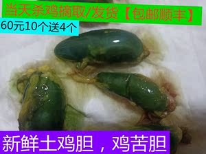 现取胆鲜土鸡胆苦胆胆汁活胆鸭胆鸡苦胆10个送4个顺丰包邮农产品