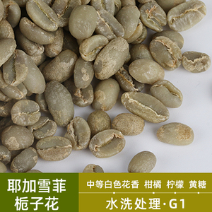 绿之素 栀子花咖啡生豆耶加雪菲产区水洗精品生豆白花香74110种