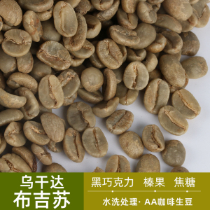 绿之素乌干达布吉苏AA咖啡生豆原料进口生咖啡豆囤货装