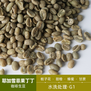 绿之素果丁丁水洗G1咖啡生豆原料耶加雪菲产区GOTITI进口花香精品