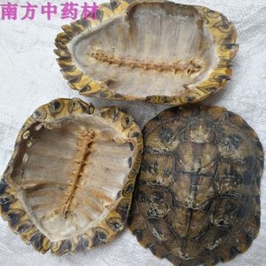 乌龟壳中药材龟板背甲壳 完整生龟甲壳龟上甲 真乌龟上壳龟盖粉