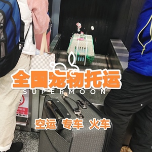 上海杭州南京猫狗宠物托运服务全国北京广州成都沈阳空运专车火车